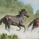 muurschildering-paarden